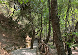 Butterfly Valley Parking