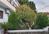 Holy Monastery of Panagia Ipseni