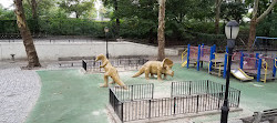 Dinosaurusspeeltuin