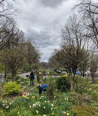 Dinosaurusspeeltuin