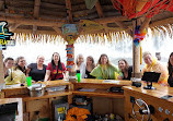 Ottawa Palapa Tours