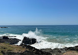 Macauleys Headland Walk