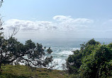 Macauleys Headland Walk