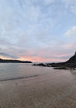 Macauleys Headland Walk