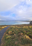 Macauleys Headland Walk