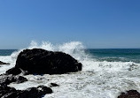 Macauleys Headland Walk