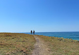 Macauleys Headland Walk