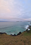 Macauleys Headland Walk