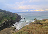 Macauleys Headland Walk