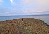 Macauleys Headland Walk