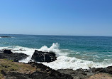 Macauleys Headland Walk