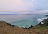 Macauleys Headland Walk