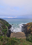 Macauleys Headland Walk