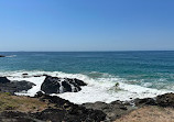 Macauleys Headland Walk