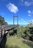 Forest Sky Pier