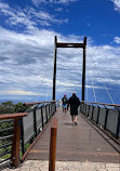 Forest Sky Pier