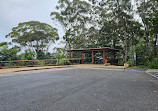 Forest Sky Pier