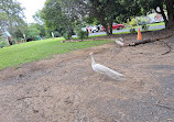 Coffs Harbour Butterfly House