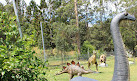 Coffs Harbour Butterfly House