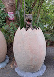 Coffs Harbour Butterfly House