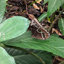 Fort Worth Botanic Garden