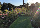 Rose Garden