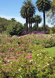 Rose Garden