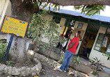 Trench Town Culture Yard Museum