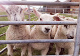 Methley Bridge Farm Shop