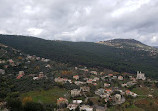 The Lady of Jezzine