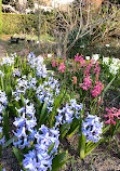 Hortus Botanicus Leiden