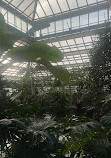 Hortus Botanicus Leiden