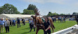 Warwick Racecourse