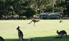 Boronia Peak Villas Halls Gap