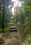 Canal Parque De Telemedellin