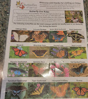 Butterflies of Cape Cod