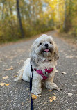 River Loop Trail