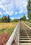 Royal Glenora Stairs