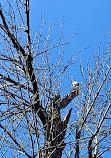 Whitemud Park South Trail