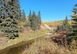 Whitemud Creek Ravine