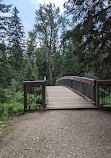 Whitemud Creek Ravine