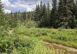 Whitemud Creek Ravine