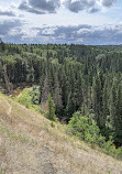 Whitemud Creek Ravine