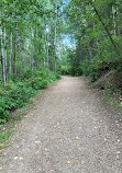 Whitemud Creek Ravine