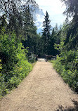 Whitemud Creek Ravine