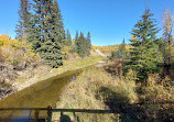 Whitemud Creek Ravine