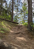 Whitemud Creek Ravine