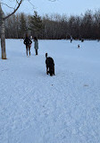 Callingwood Dog Park