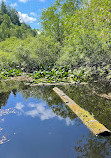 Tacoma Nature Center