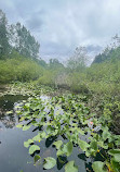 Tacoma Nature Center